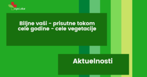 Read more about the article BILJNE VAŠI – PRISUTNE TOKOM CELE GODINE – CELE VEGETACIJE!!!