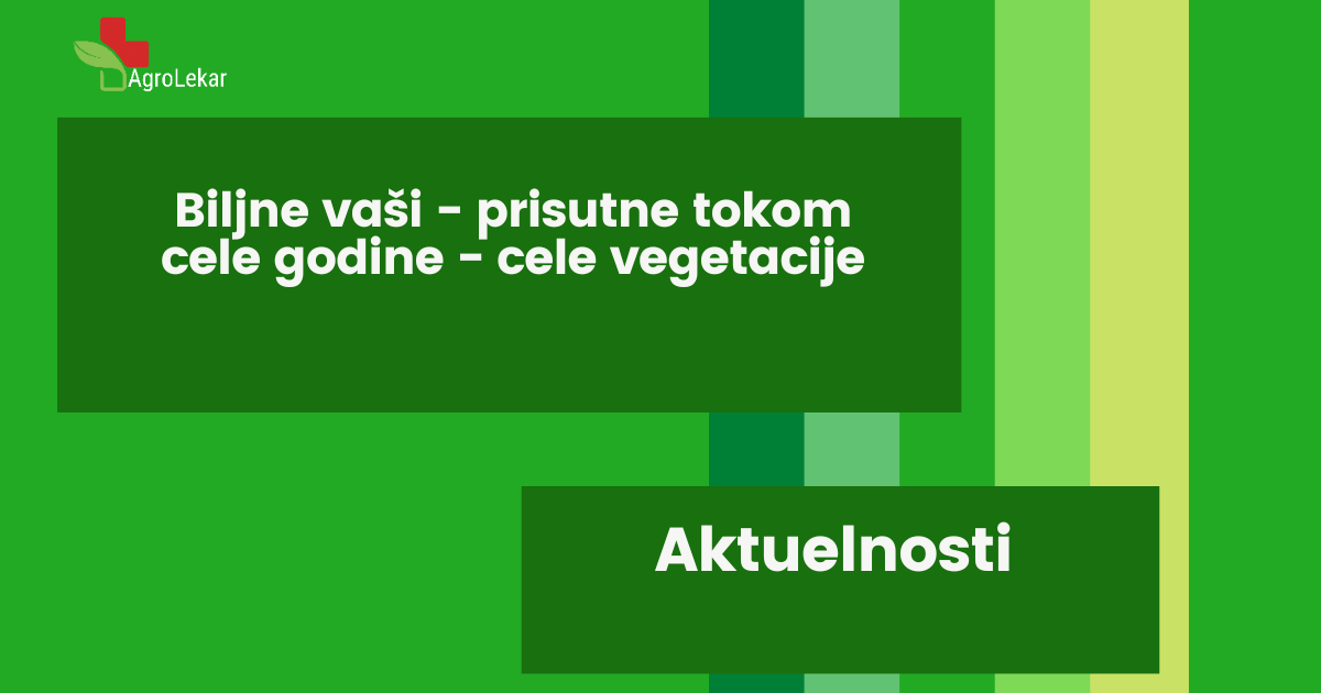 You are currently viewing BILJNE VAŠI – PRISUTNE TOKOM CELE GODINE – CELE VEGETACIJE!!!