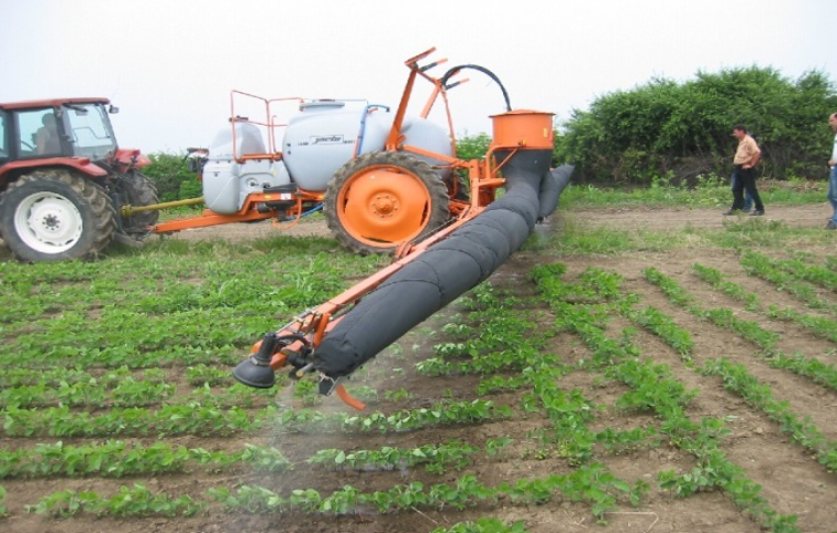 KOROVI - PRINCIPI USPEŠNOG SUZBIJANJA