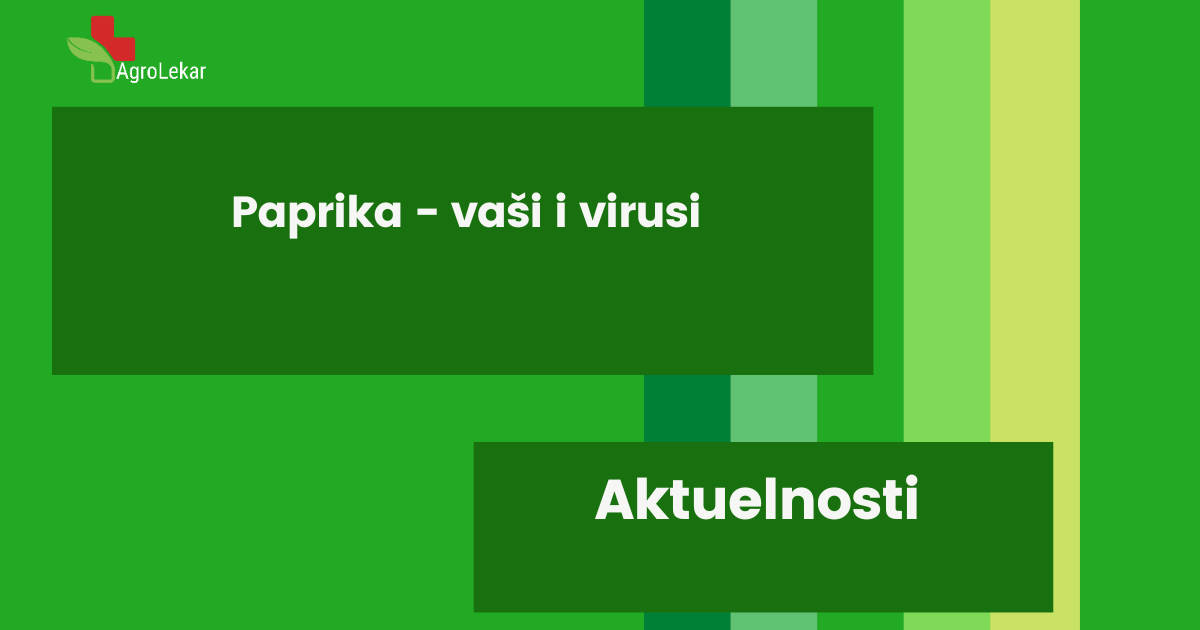 You are currently viewing PAPRIKA – VAŠI I VIRUSI!!!