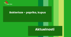 Read more about the article BAKTERIOZE – PAPRIKA, KUPUS!!!