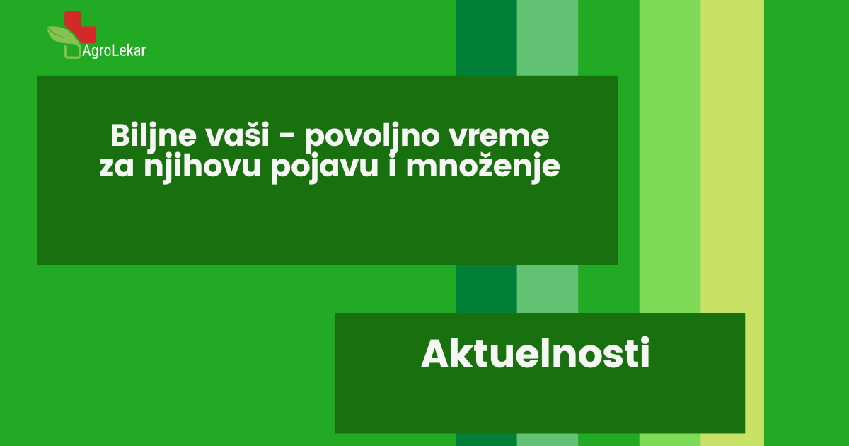 You are currently viewing BILJNE VAŠI – POVOLJNO VREME ZA NJIHOVU POJAVU I MNOŽENJE!!!