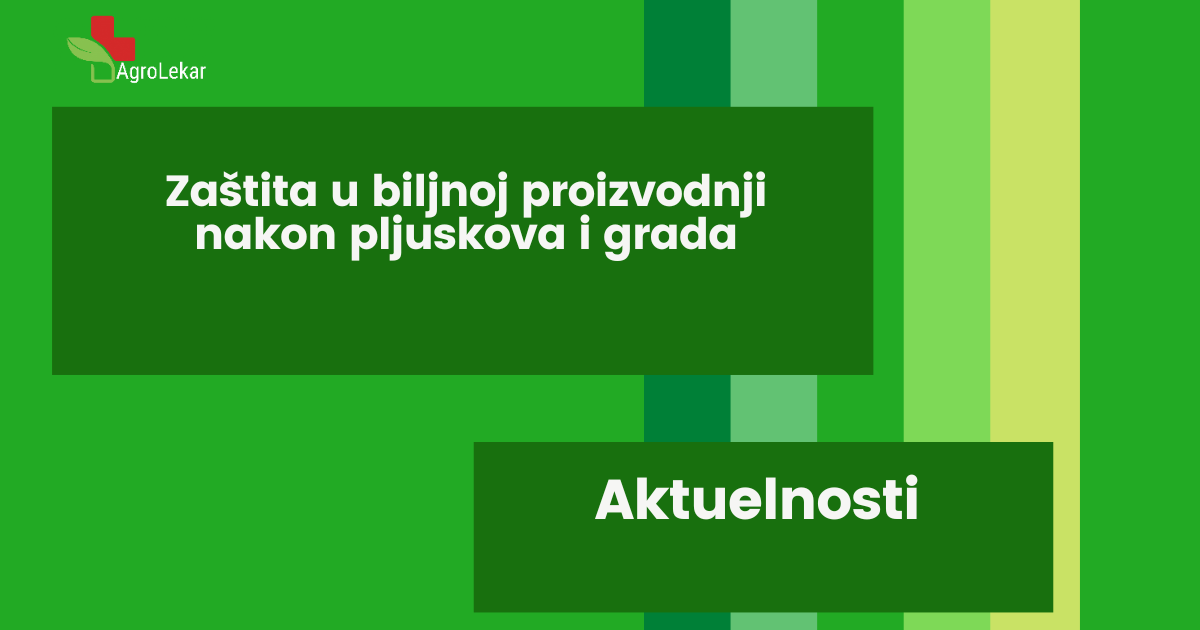 Read more about the article ZAŠTITA U BILJNOJ PROIZVODNJI NAKON PLJUSKOVA I GRADA