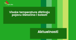 Read more about the article VISOKE TEMPERATURE DIKTIRAJU POJAVU ŠTETOČINA I BOLESTI!!!