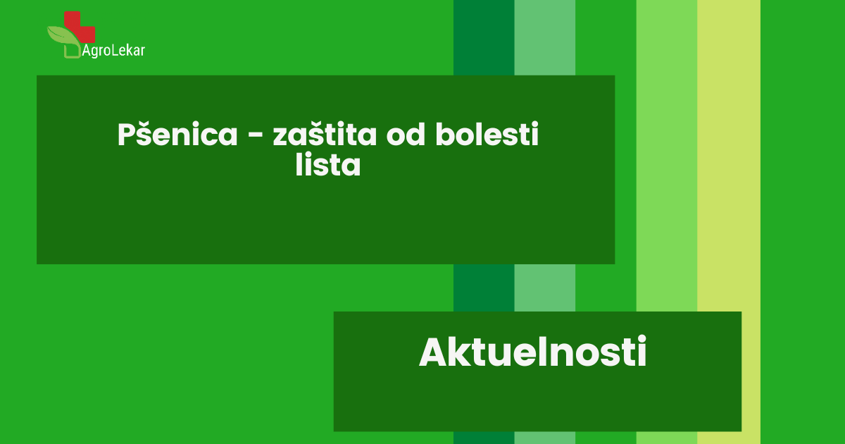 You are currently viewing PŠENICA – ZAŠTITA OD BOLESTI LISTA!!!