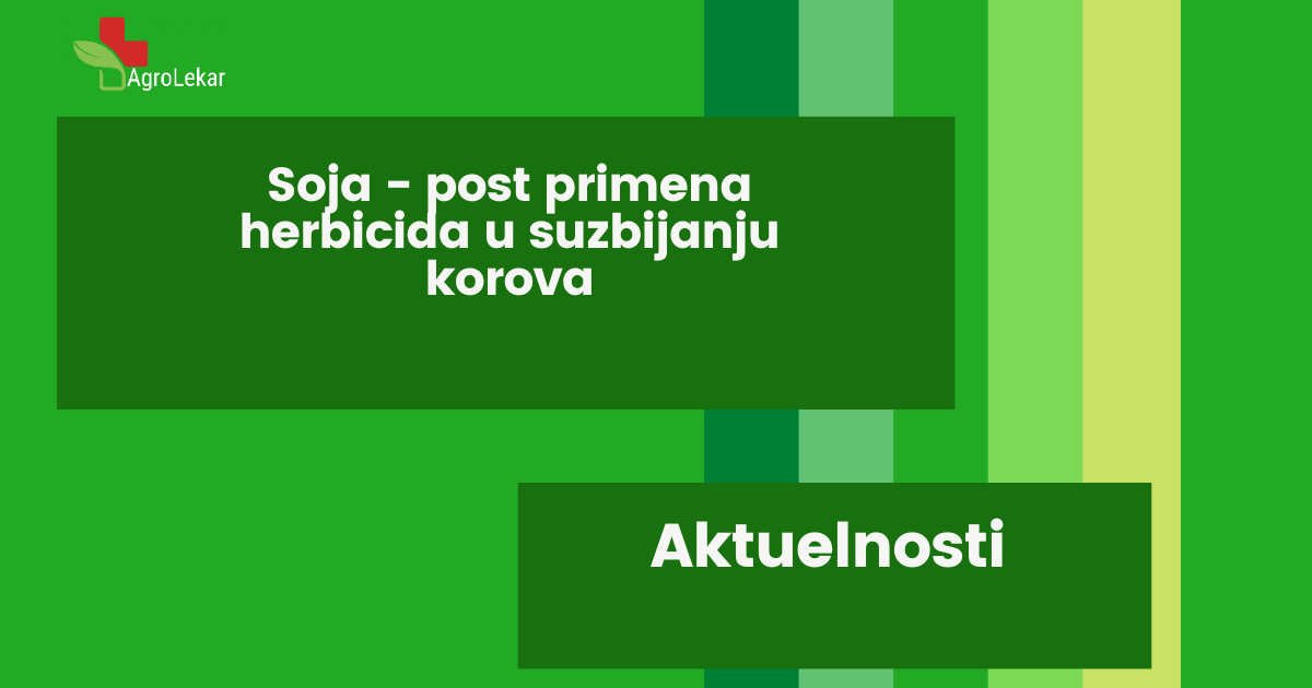 Read more about the article SOJA – POST PRIMENA HERBICIDA U SUZBIJANJU KOROVA!
