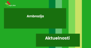 Read more about the article AMBROZIJA!!!
