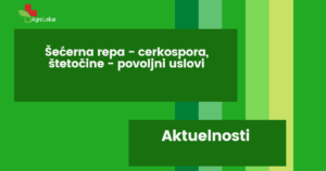 Read more about the article ŠEĆERNA REPA – CERKOSPORA, ŠTETOČINE – POVOLJNI USLOVI!!!