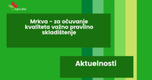 Read more about the article MRKVA – ZA OČUVANJE KVALITETA VAŽNO PRAVILNO SKLADIŠTENJE