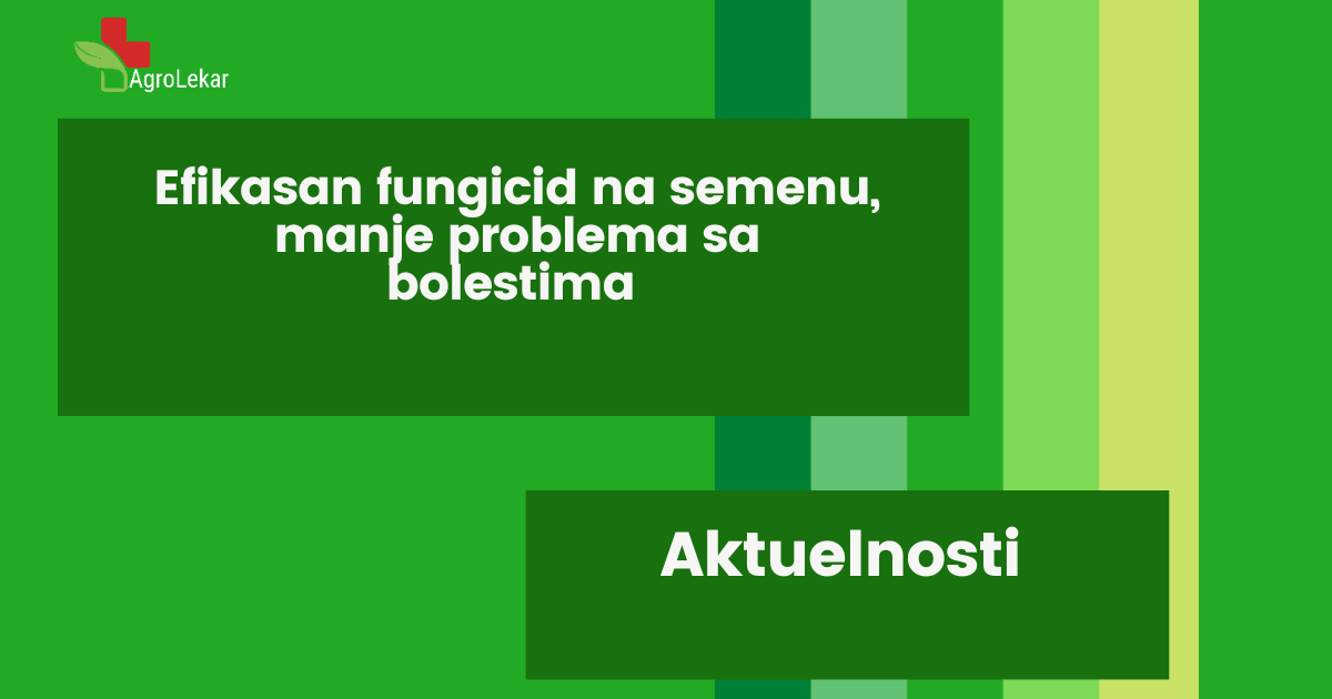 You are currently viewing EFIKASAN FUNGICID NA SEMENU MANJE PROBLEMA SA BOLESTIMA