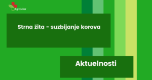Read more about the article STRNA ŽITA – SUZBIJANJE KOROVA!!!