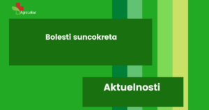 Read more about the article BOLESTI SUNCOKRETA