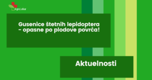 Read more about the article GUSENICE ŠTETNIH LEPIDOPTERA – OPASNE ZA PLODOVE POVRĆA!